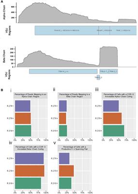 Identification and Tracking of Alloreactive T Cell Clones in Rhesus Macaques Through the RM-scTCR-Seq Platform